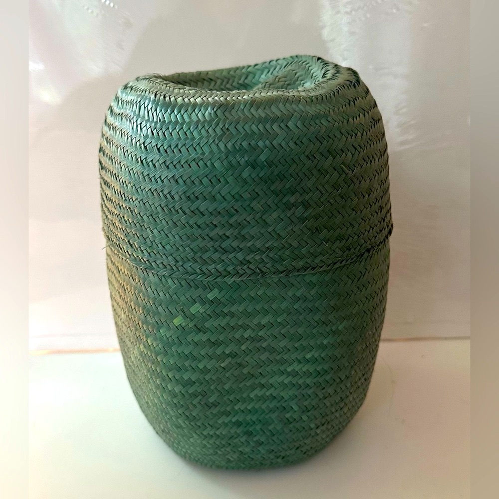 Gorgeous Oaxacan Hand Woven Natural Lidded Basket & Lid Storage Planter Green